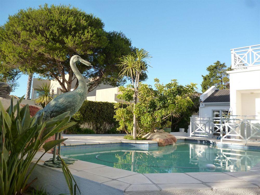 5 Options Guest House Bloubergstrand Esterno foto